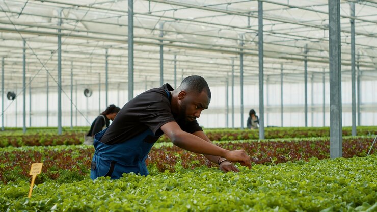 Optimize Your Entire Farm Operation