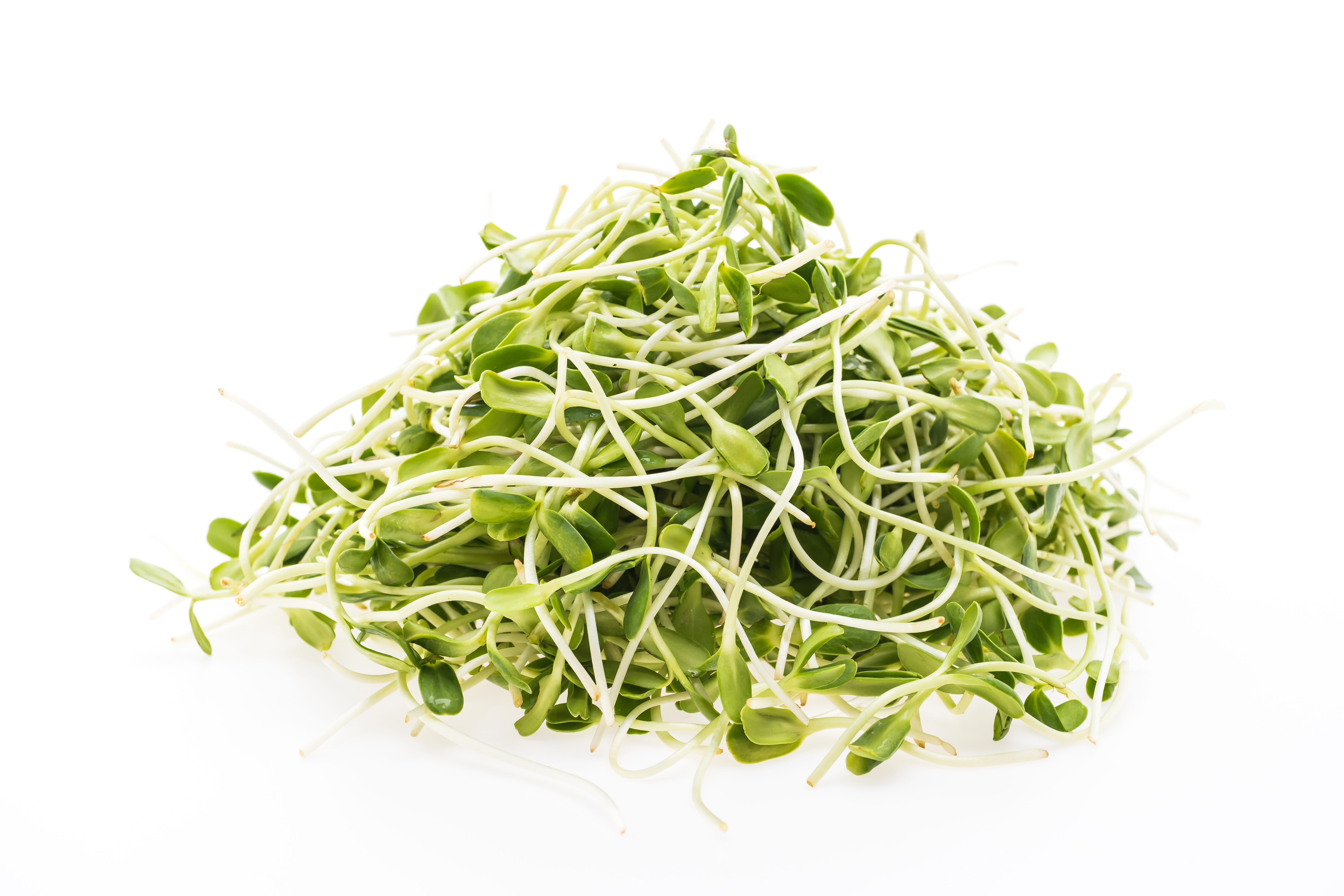 Microgreens