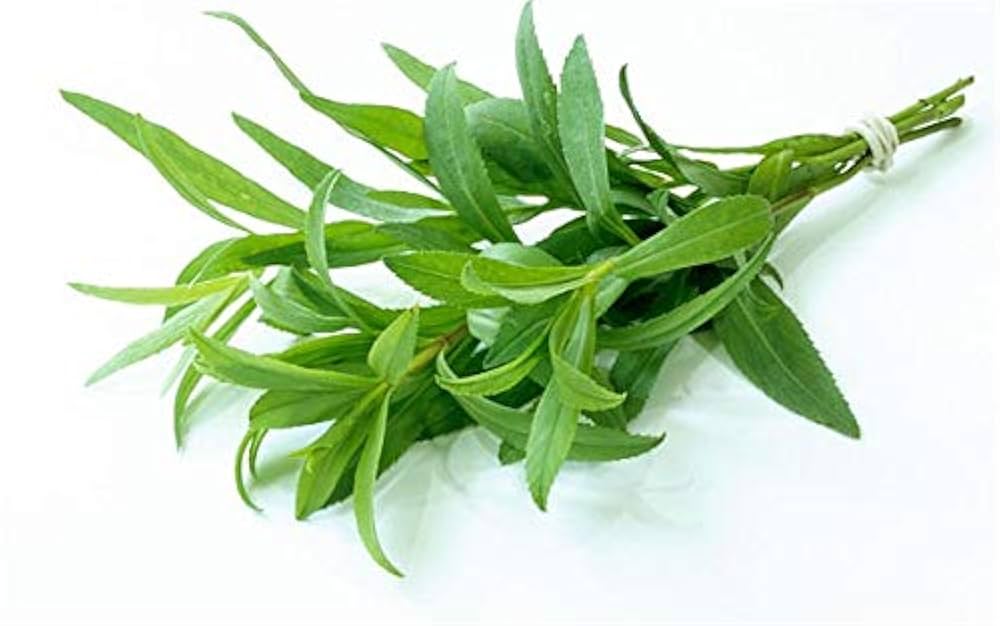 Tarragon